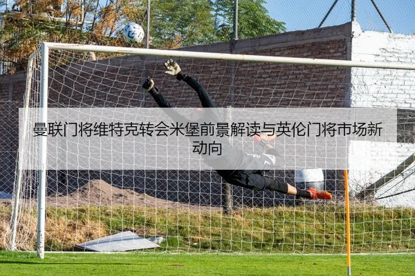 曼联门将维特克转会米堡前景解读与英伦门将市场新动向