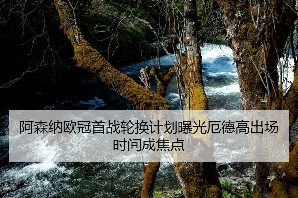 阿森纳欧冠首战轮换计划曝光厄德高出场时间成焦点